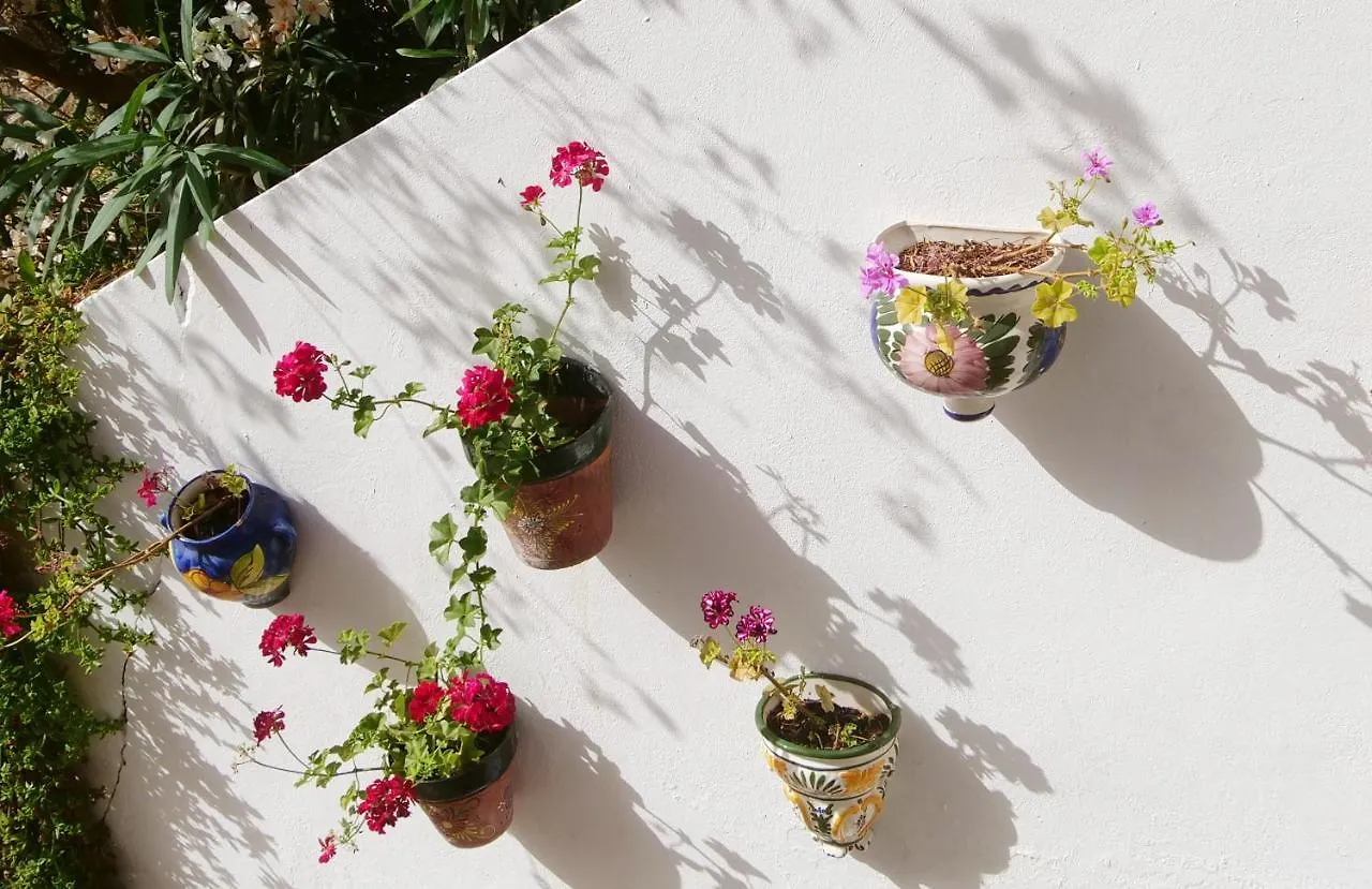 Casa Estrella De Salia Bed & Breakfast Alcaucin